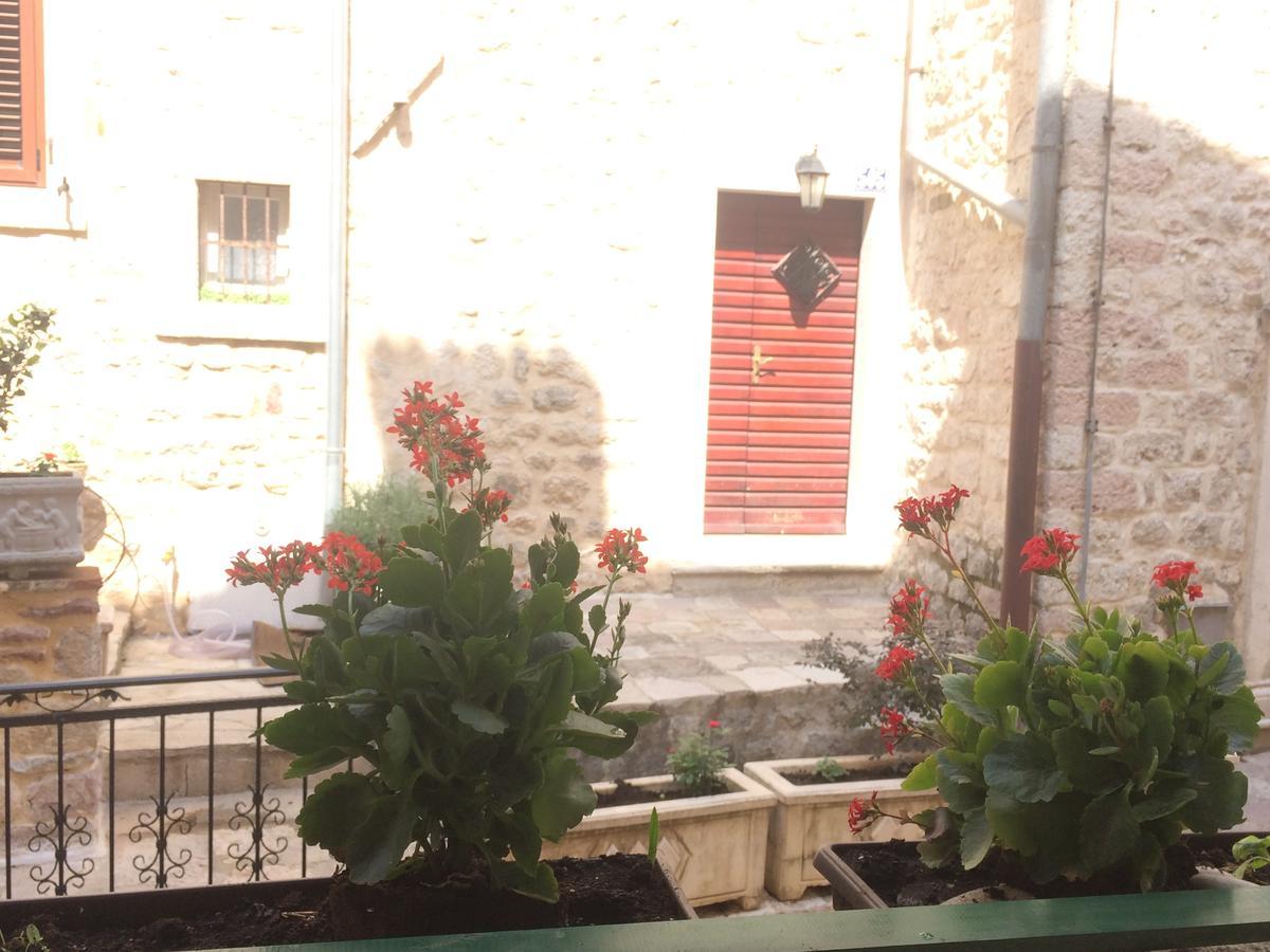 Apartment Ozana Kotor Buitenkant foto