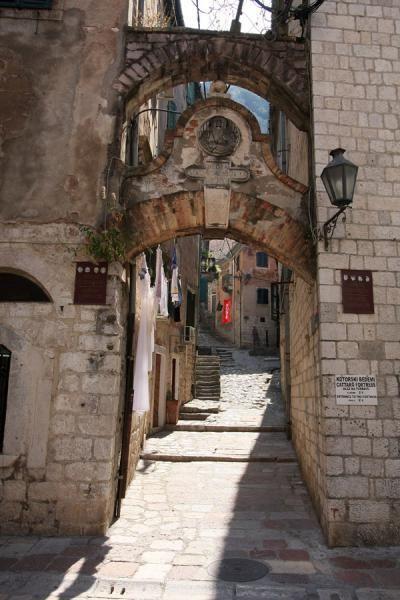 Apartment Ozana Kotor Buitenkant foto